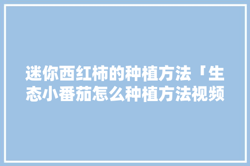 迷你西红柿的种植方法「生态小番茄怎么种植方法视频」 迷你西红柿的种植方法「生态小番茄怎么种植方法视频」 种植技巧