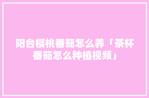 阳台樱桃番茄怎么养「茶杯番茄怎么种植视频」