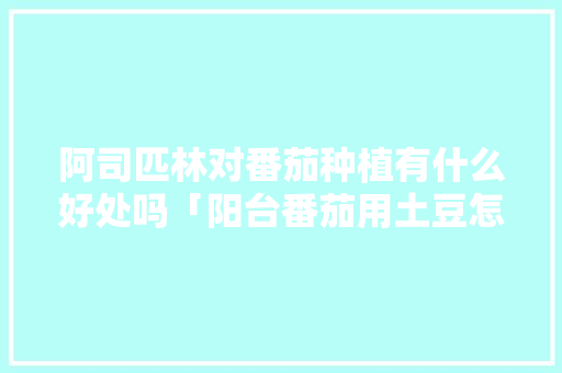 阿司匹林对番茄种植有什么好处吗「阳台番茄用土豆怎么种植视频」 阿司匹林对番茄种植有什么好处吗「阳台番茄用土豆怎么种植视频」 土壤施肥
