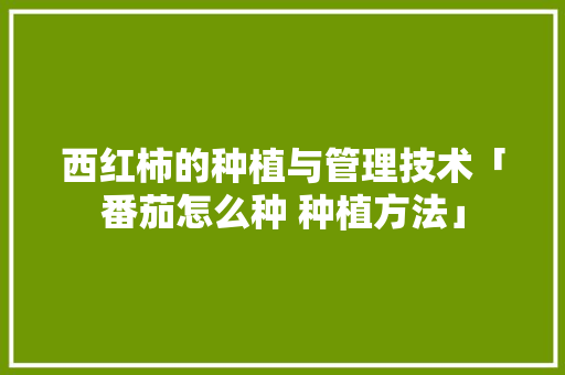 西红柿的种植与管理技术「番茄怎么种 种植方法」 西红柿的种植与管理技术「番茄怎么种 种植方法」 种植技巧