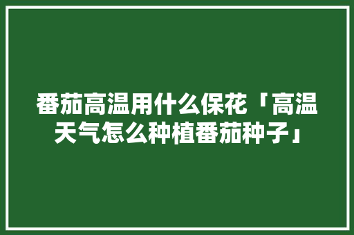 番茄高温用什么保花「高温天气怎么种植番茄种子」