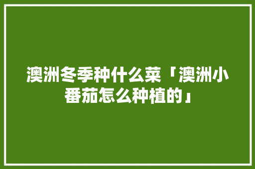 澳洲冬季种什么菜「澳洲小番茄怎么种植的」