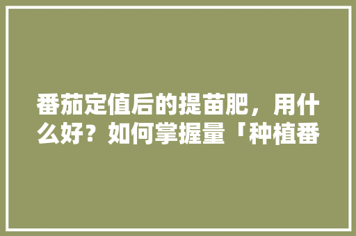番茄定值后的提苗肥，用什么好？如何掌握量「种植番茄怎么给它补钙呢」 番茄定值后的提苗肥，用什么好？如何掌握量「种植番茄怎么给它补钙呢」 种植技巧