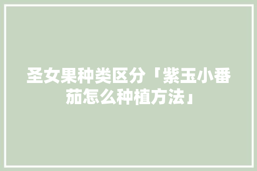 圣女果种类区分「紫玉小番茄怎么种植方法」 圣女果种类区分「紫玉小番茄怎么种植方法」 农业常识