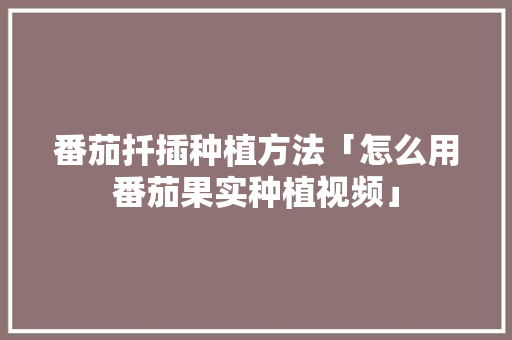 番茄扦插种植方法「怎么用番茄果实种植视频」 番茄扦插种植方法「怎么用番茄果实种植视频」 番茄病虫害防治