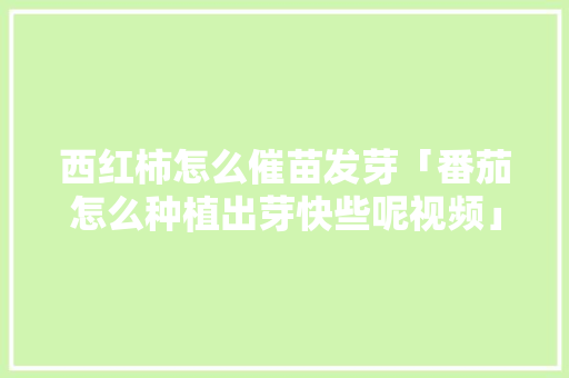 西红柿怎么催苗发芽「番茄怎么种植出芽快些呢视频」 西红柿怎么催苗发芽「番茄怎么种植出芽快些呢视频」 花朵知识