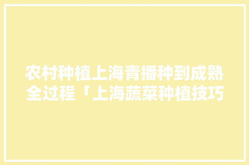 农村种植上海青播种到成熟全过程「上海蔬菜种植技巧与方法视频」 农村种植上海青播种到成熟全过程「上海蔬菜种植技巧与方法视频」 植物种类