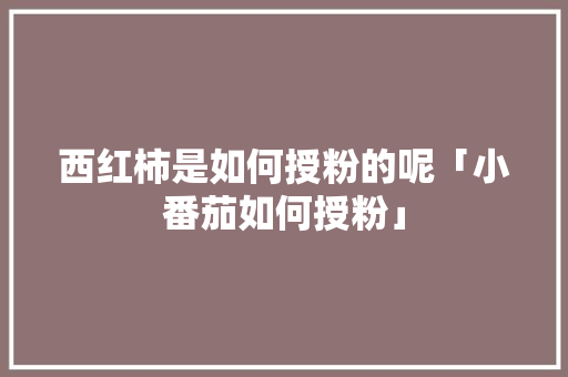 西红柿是如何授粉的呢「小番茄如何授粉」