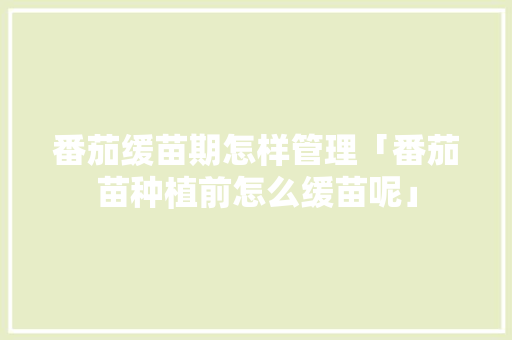 番茄缓苗期怎样管理「番茄苗种植前怎么缓苗呢」 番茄缓苗期怎样管理「番茄苗种植前怎么缓苗呢」 植物种类