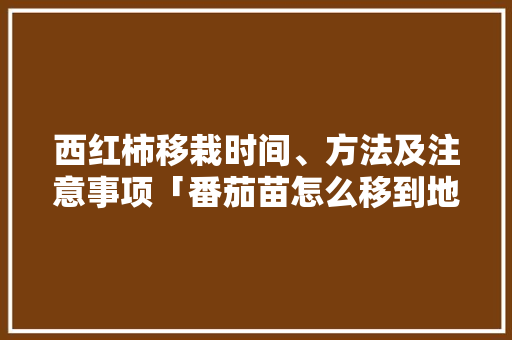 西红柿移栽时间、方法及注意事项「番茄苗怎么移到地里种植呢」 西红柿移栽时间、方法及注意事项「番茄苗怎么移到地里种植呢」 植物种类