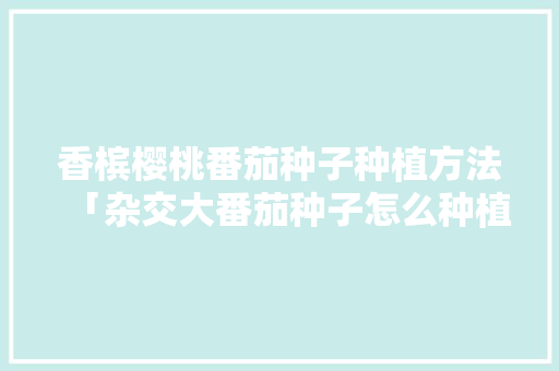 香槟樱桃番茄种子种植方法「杂交大番茄种子怎么种植的」 香槟樱桃番茄种子种植方法「杂交大番茄种子怎么种植的」 农业常识