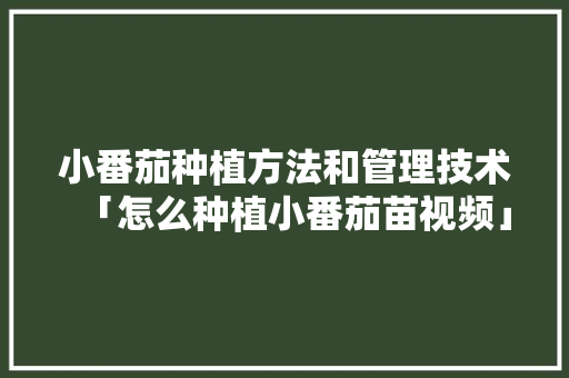 小番茄种植方法和管理技术「怎么种植小番茄苗视频」 小番茄种植方法和管理技术「怎么种植小番茄苗视频」 农业常识