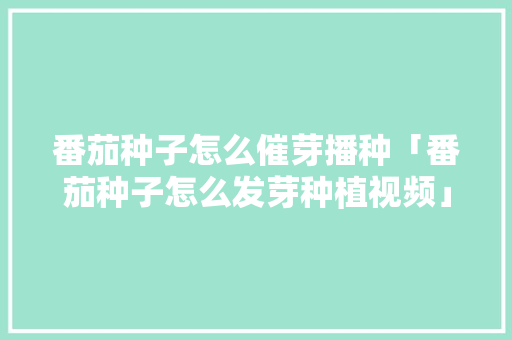 番茄种子怎么催芽播种「番茄种子怎么发芽种植视频」 番茄种子怎么催芽播种「番茄种子怎么发芽种植视频」 土壤施肥