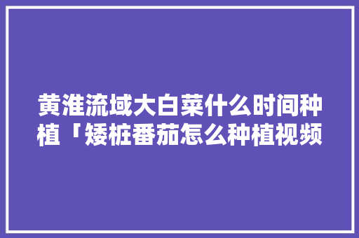 黄淮流域大白菜什么时间种植「矮桩番茄怎么种植视频」 黄淮流域大白菜什么时间种植「矮桩番茄怎么种植视频」 农业常识