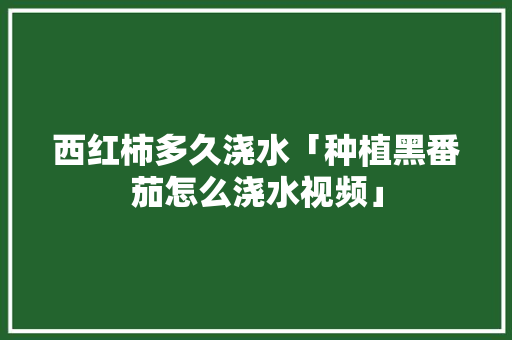 西红柿多久浇水「种植黑番茄怎么浇水视频」 西红柿多久浇水「种植黑番茄怎么浇水视频」 花朵知识