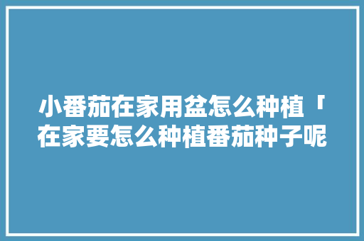 小番茄在家用盆怎么种植「在家要怎么种植番茄种子呢」 小番茄在家用盆怎么种植「在家要怎么种植番茄种子呢」 种植技巧