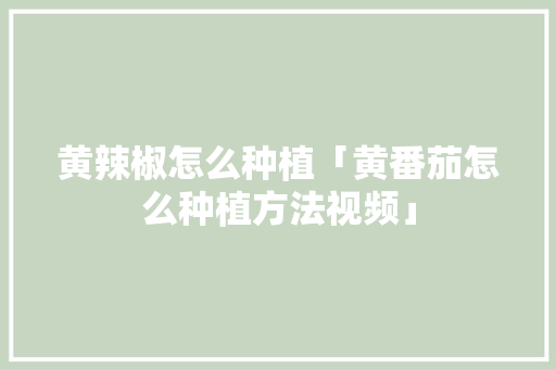 黄辣椒怎么种植「黄番茄怎么种植方法视频」 黄辣椒怎么种植「黄番茄怎么种植方法视频」 番茄种植技巧