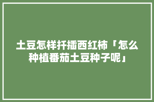 土豆怎样扦插西红柿「怎么种植番茄土豆种子呢」 土豆怎样扦插西红柿「怎么种植番茄土豆种子呢」 花朵知识
