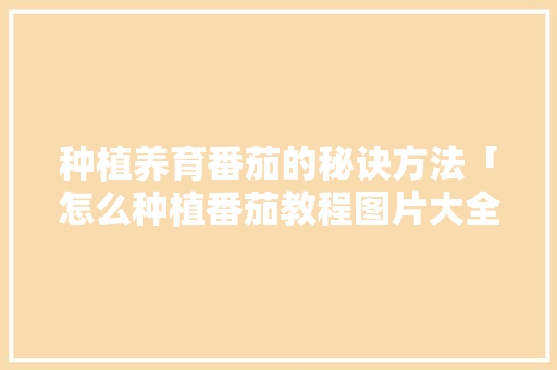 种植养育番茄的秘诀方法「怎么种植番茄教程图片大全」 种植养育番茄的秘诀方法「怎么种植番茄教程图片大全」 番茄病虫害防治