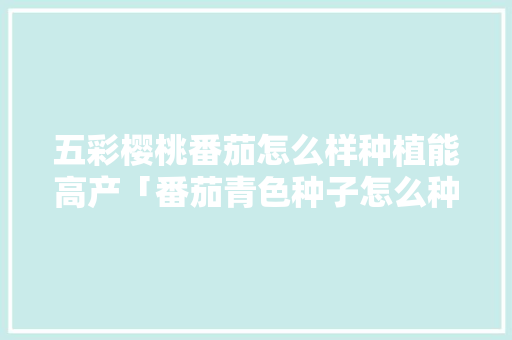 五彩樱桃番茄怎么样种植能高产「番茄青色种子怎么种植视频」 五彩樱桃番茄怎么样种植能高产「番茄青色种子怎么种植视频」 番茄种植技巧