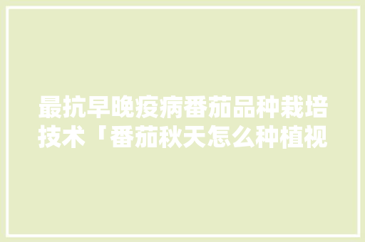 最抗早晚疫病番茄品种栽培技术「番茄秋天怎么种植视频」 最抗早晚疫病番茄品种栽培技术「番茄秋天怎么种植视频」 番茄病虫害防治