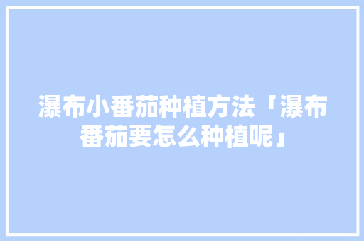 瀑布小番茄种植方法「瀑布番茄要怎么种植呢」 瀑布小番茄种植方法「瀑布番茄要怎么种植呢」 农业常识