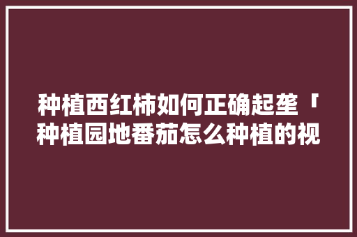 种植西红柿如何正确起垄「种植园地番茄怎么种植的视频」 种植西红柿如何正确起垄「种植园地番茄怎么种植的视频」 土壤施肥