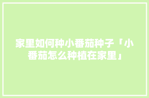 家里如何种小番茄种子「小番茄怎么种植在家里」 家里如何种小番茄种子「小番茄怎么种植在家里」 花朵知识