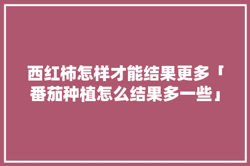 西红柿怎样才能结果更多「番茄种植怎么结果多一些」