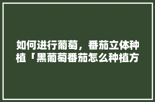 如何进行葡萄，番茄立体种植「黑葡萄番茄怎么种植方法视频」 如何进行葡萄，番茄立体种植「黑葡萄番茄怎么种植方法视频」 花朵知识