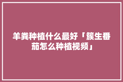 羊粪种植什么最好「簇生番茄怎么种植视频」