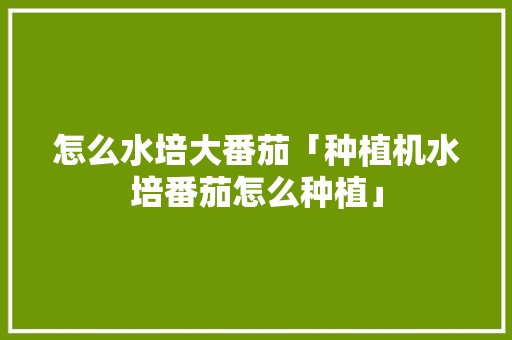 怎么水培大番茄「种植机水培番茄怎么种植」 怎么水培大番茄「种植机水培番茄怎么种植」 种植技巧