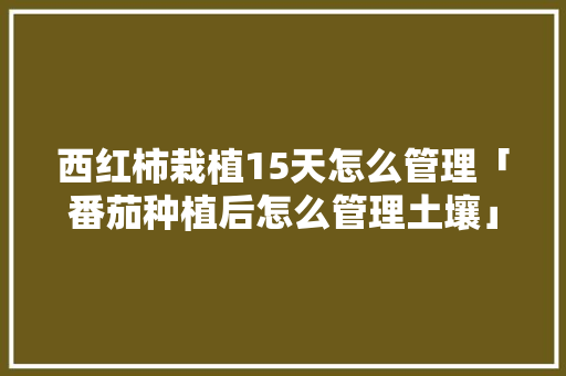 西红柿栽植15天怎么管理「番茄种植后怎么管理土壤」 西红柿栽植15天怎么管理「番茄种植后怎么管理土壤」 农业常识
