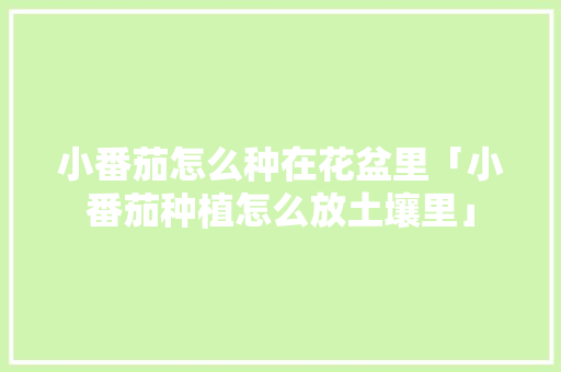 小番茄怎么种在花盆里「小番茄种植怎么放土壤里」 小番茄怎么种在花盆里「小番茄种植怎么放土壤里」 种植技巧