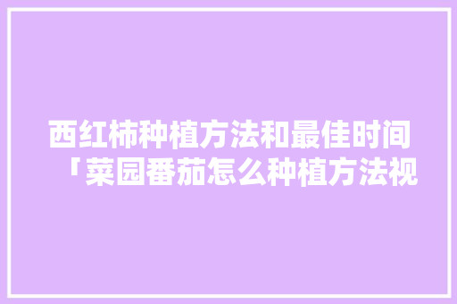 西红柿种植方法和最佳时间「菜园番茄怎么种植方法视频」 西红柿种植方法和最佳时间「菜园番茄怎么种植方法视频」 番茄病虫害防治