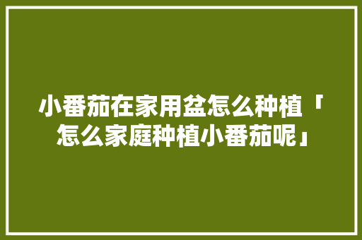 小番茄在家用盆怎么种植「怎么家庭种植小番茄呢」 小番茄在家用盆怎么种植「怎么家庭种植小番茄呢」 农业常识