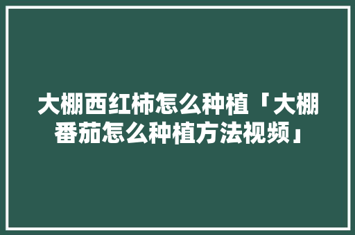 大棚西红柿怎么种植「大棚番茄怎么种植方法视频」 大棚西红柿怎么种植「大棚番茄怎么种植方法视频」 植物种类