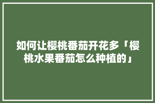 如何让樱桃番茄开花多「樱桃水果番茄怎么种植的」 如何让樱桃番茄开花多「樱桃水果番茄怎么种植的」 番茄病虫害防治
