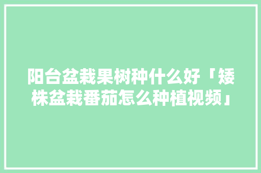 阳台盆栽果树种什么好「矮株盆栽番茄怎么种植视频」 阳台盆栽果树种什么好「矮株盆栽番茄怎么种植视频」 土壤施肥