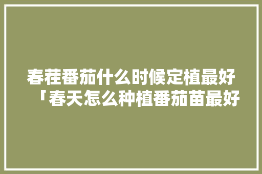 春茬番茄什么时候定植最好「春天怎么种植番茄苗最好呢」 春茬番茄什么时候定植最好「春天怎么种植番茄苗最好呢」 土壤施肥