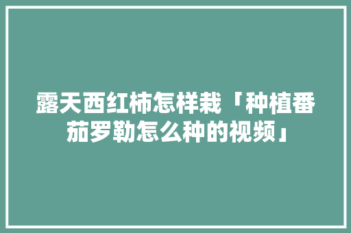 露天西红柿怎样栽「种植番茄罗勒怎么种的视频」 露天西红柿怎样栽「种植番茄罗勒怎么种的视频」 花朵知识
