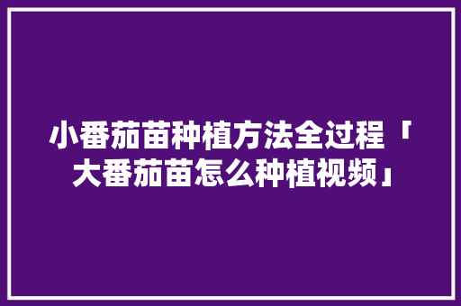 小番茄苗种植方法全过程「大番茄苗怎么种植视频」 小番茄苗种植方法全过程「大番茄苗怎么种植视频」 植物种类