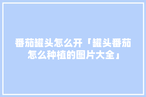 番茄罐头怎么开「罐头番茄怎么种植的图片大全」