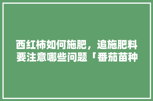 西红柿如何施肥，追施肥料要注意哪些问题「番茄苗种植肥料怎么配比」