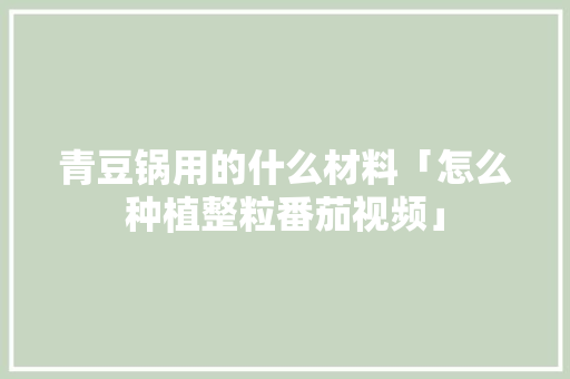青豆锅用的什么材料「怎么种植整粒番茄视频」