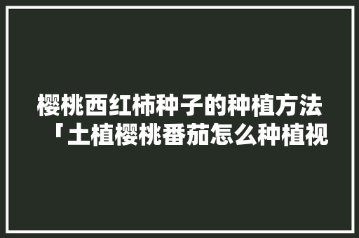樱桃西红柿种子的种植方法「土植樱桃番茄怎么种植视频」 樱桃西红柿种子的种植方法「土植樱桃番茄怎么种植视频」 种植技巧