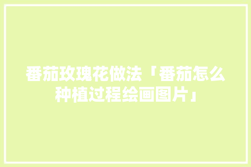 番茄玫瑰花做法「番茄怎么种植过程绘画图片」