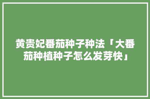 黄贵妃番茄种子种法「大番茄种植种子怎么发芽快」 黄贵妃番茄种子种法「大番茄种植种子怎么发芽快」 植物种类