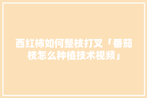 西红柿如何整枝打叉「番茄枝怎么种植技术视频」 西红柿如何整枝打叉「番茄枝怎么种植技术视频」 种植技巧