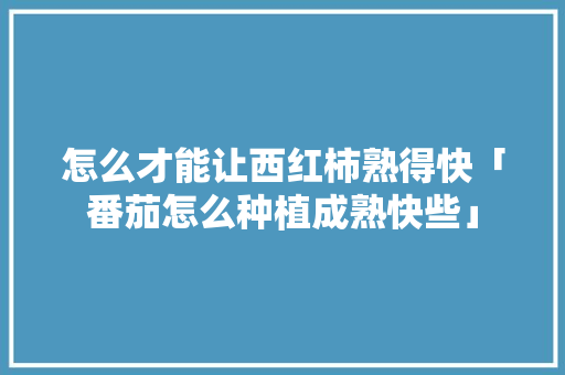 怎么才能让西红柿熟得快「番茄怎么种植成熟快些」 怎么才能让西红柿熟得快「番茄怎么种植成熟快些」 农业常识